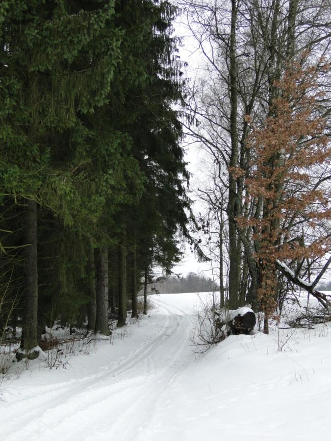 Agroturystyka Zywe Kruklanki Exterior photo