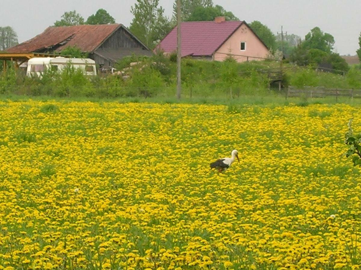 Agroturystyka Zywe Kruklanki Exterior photo